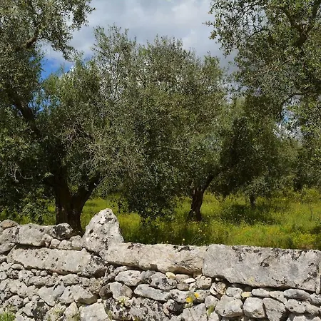 Tata Gino E Mamma Sina * דיסו